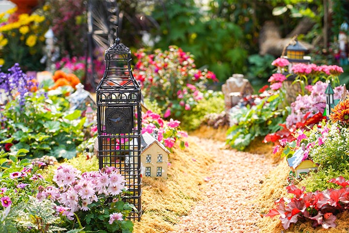 garden designing